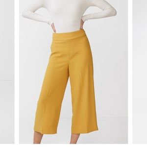 Express culotte dress pants
